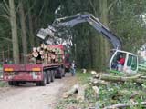 26.09.2006:
Das Holz geht nach Belgien
zur Papierverarbeitung.